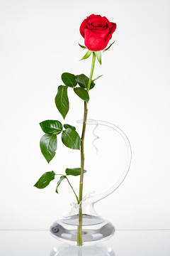 Váza na jednu květinu bez decoru