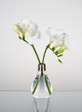Váza ve tvaru žárovky GREENbulb