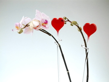 sada 2 tyčinek pro orchidej - srdce