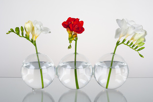 Váza Trio s květy různých barev