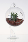 Závěsná silnostěnná skleněná koule pro rostlinu na stojánku - AERÁRIUM 