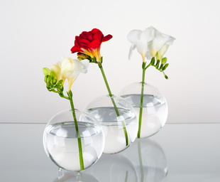 Váza Trio