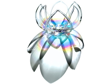 WaterLily Rainbow pod slunečními paprsky