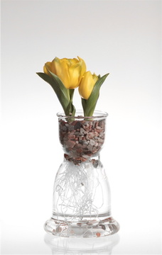 Váza pro cibuloviny - příklad - mini tulipány