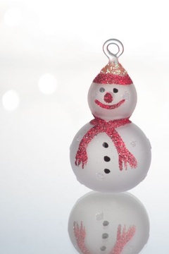 Sněhulák červený