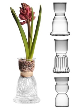 Váza pro rychlení cibulovin