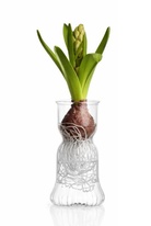 Váza pro cibuloviny - TYP ''B''