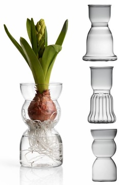 Váza pro cibuloviny - Typ C