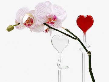 Sada 2 tyčinek pro orchidej - srdce