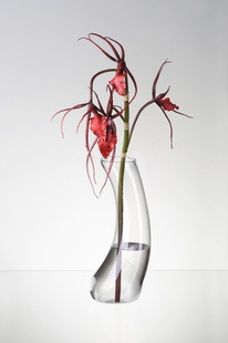 Váza Dancer s květinou