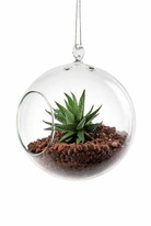 Závěsná silnostěnná skleněná koule pro rostlinu - AERÁRIUM