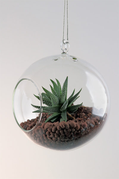 Závěsná silnostěnná skleněná koule pro rostlinu - AERÁRIUM