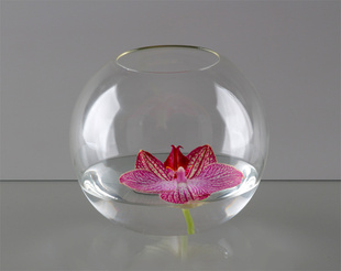 váza s květem orchideje