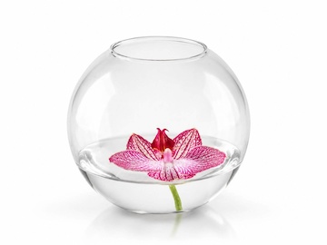Kulatá váza s květem orchidee
