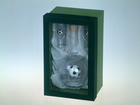 sada fotbal