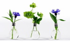 vaza GreenBULB kompozice tri vaz