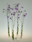 čtyřramená váza Žonglér s květy fialek